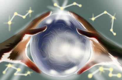 gongsi.png