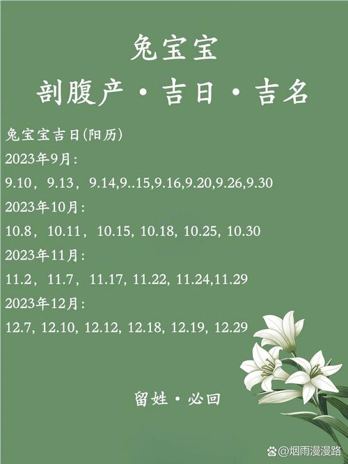 兔宝宝10月剖宫产吉日 属兔剖腹产5月吉日