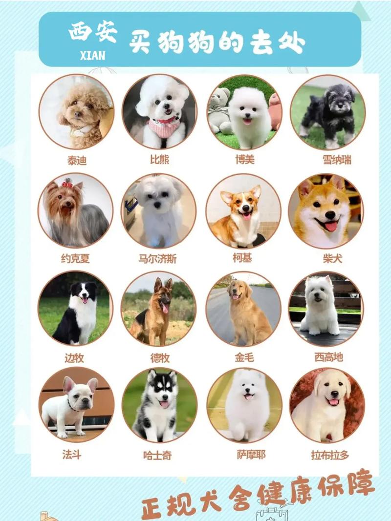 五月买狗要选吉日嘛 买狗要选吉日吗