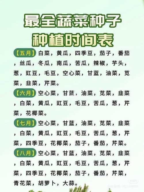 11月栽种吉日查询表 最适合十一月份换盆的花